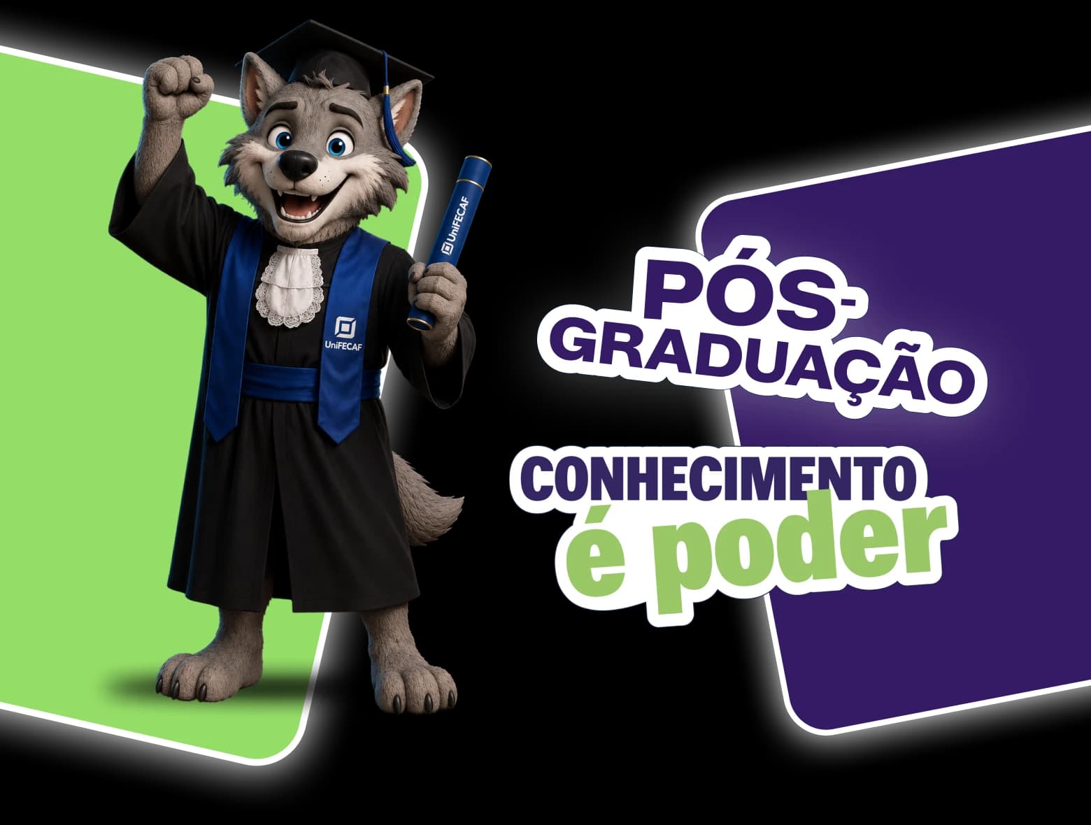 Pós-graduação