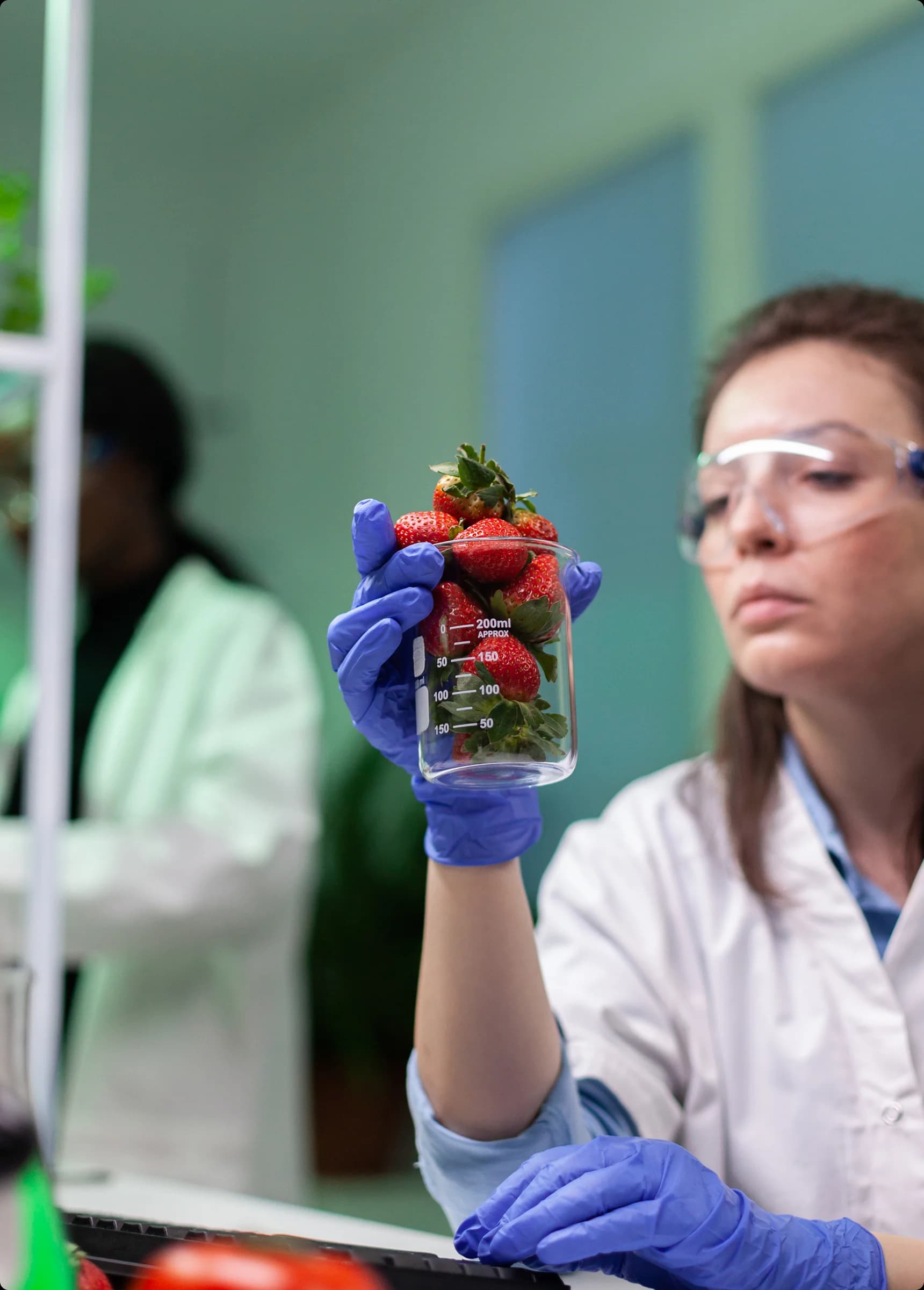 Imagem representativa do curso de Nutrição
