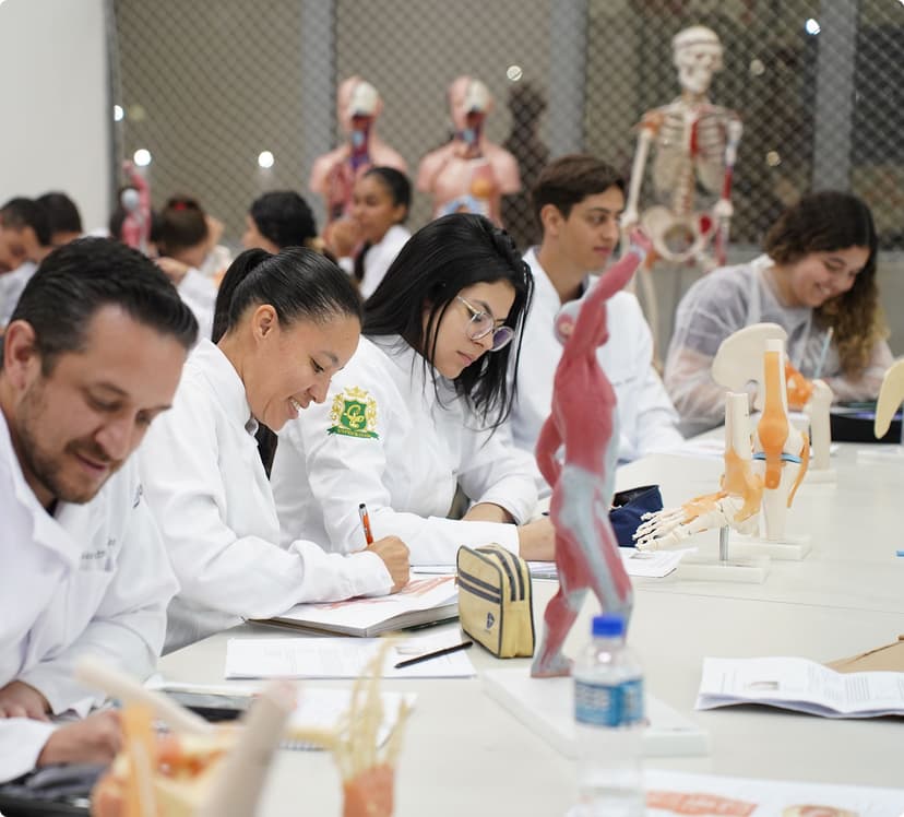 Imagem sobre o curso