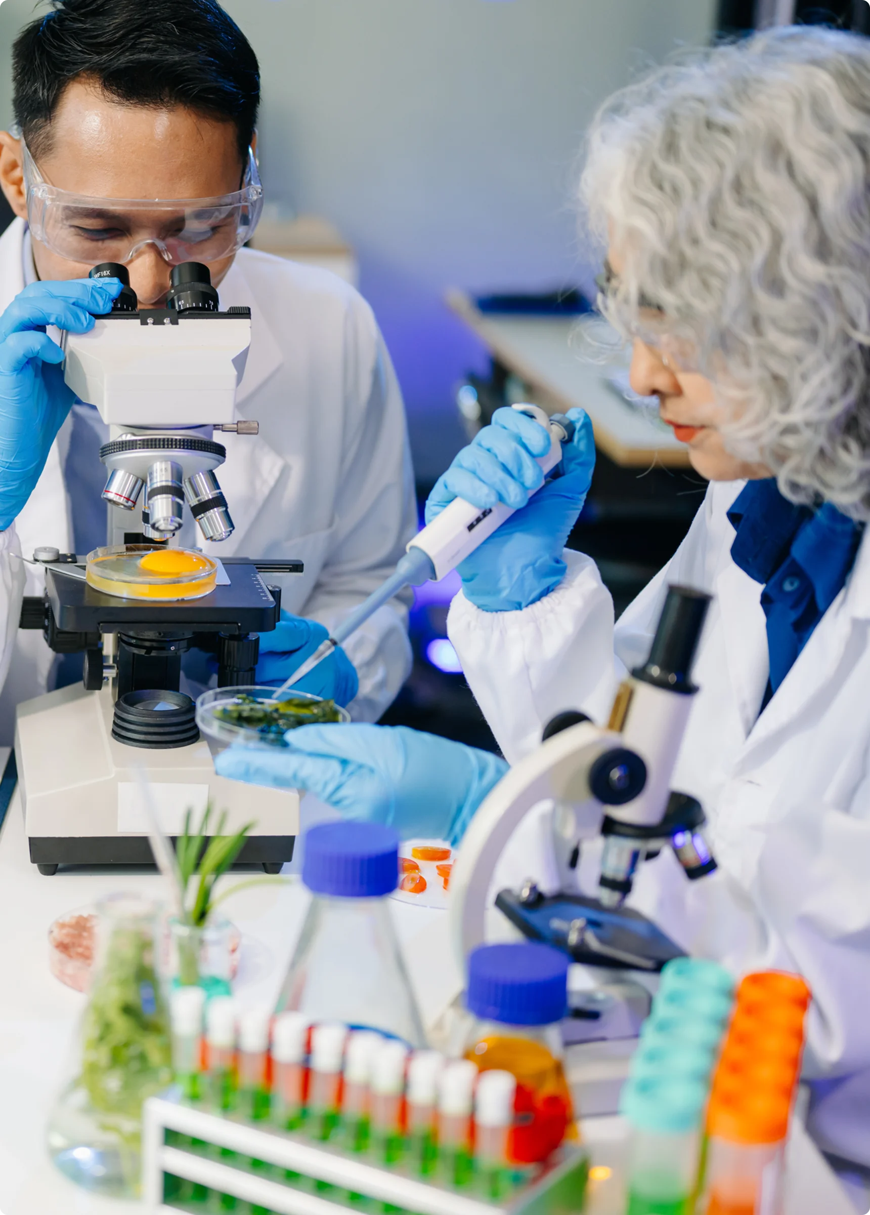 Imagem representativa do curso de Biomedicina