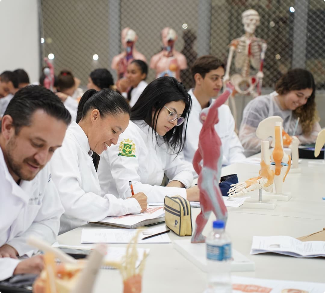 Imagem sobre o curso