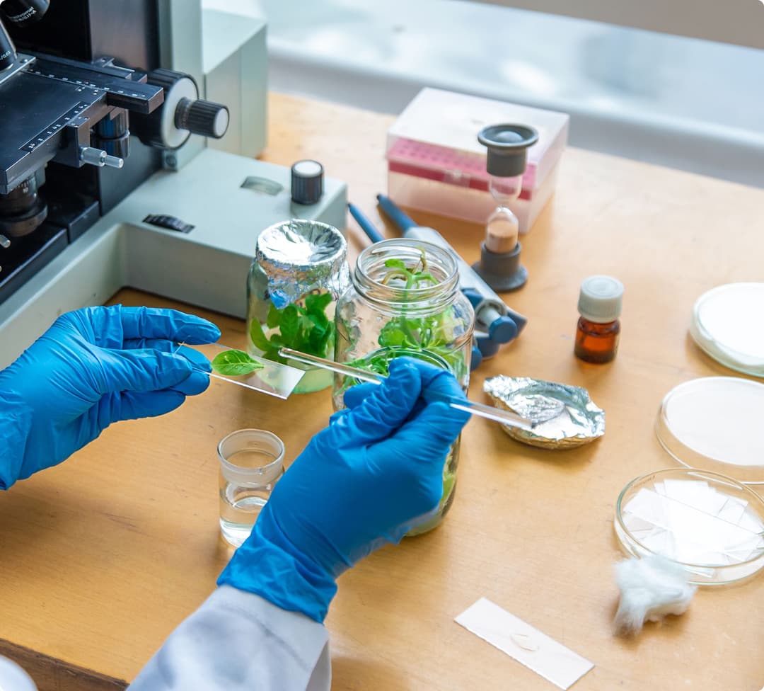 Imagem sobre o curso