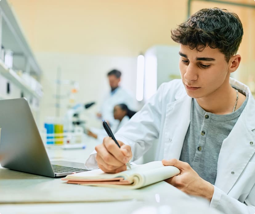 Imagem sobre o curso