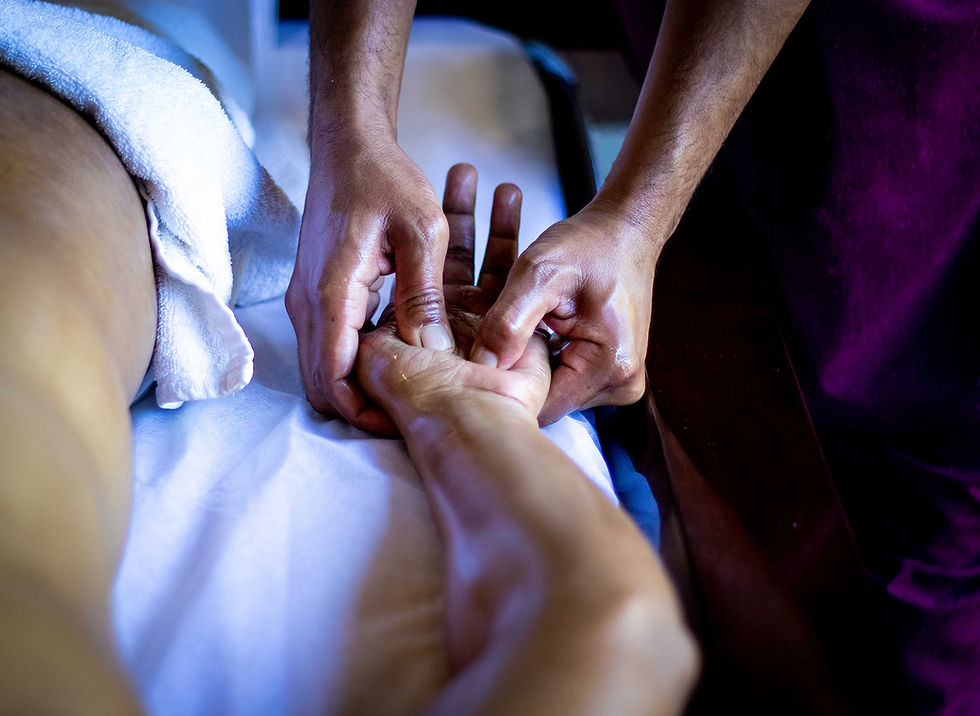 Como é a carreira de quem se forma em Terapia Ocupacional?